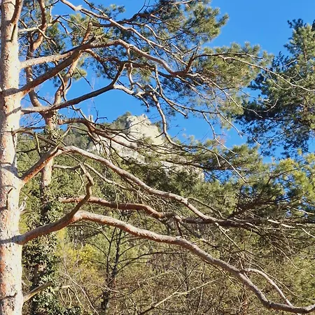 アパート Burgblick Apartment- 60qm, Kueche, Waschmaschine, Streamingdienste *