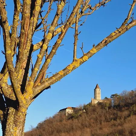 Burgblick Apartment- 60qm, Kueche, Waschmaschine, Streamingdienste Lejlighed