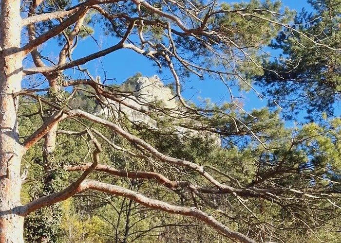 Apartament Burgblick Apartment- 60qm, Kueche, Waschmaschine, Streamingdienste *