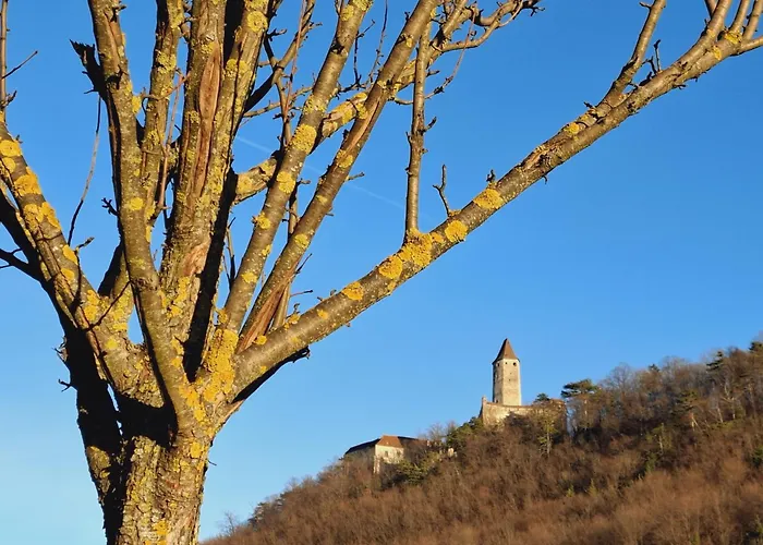 Burgblick Apartment- 60qm, Kueche, Waschmaschine, Streamingdienste Apartament